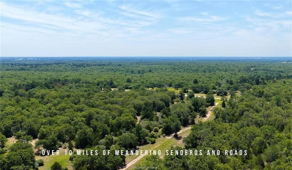 839 acres in Lee County - photo 5