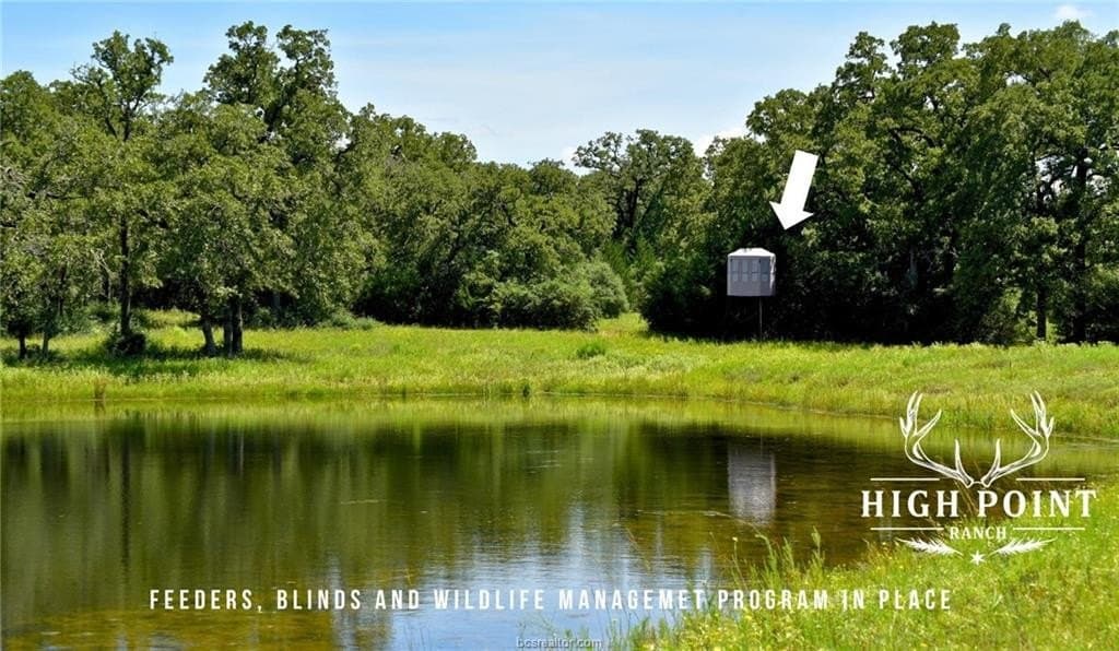 839 acres in Lee County - photo 20