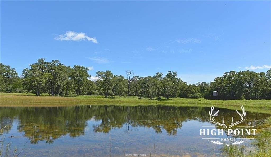 839 acres in Lee County - photo 18