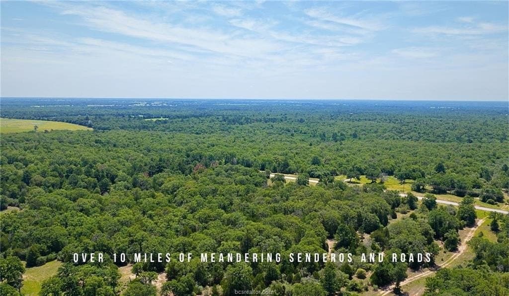 839 acres in Lee County - photo 16
