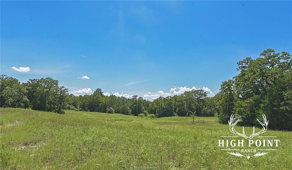 839 acres in Lee County - photo 19