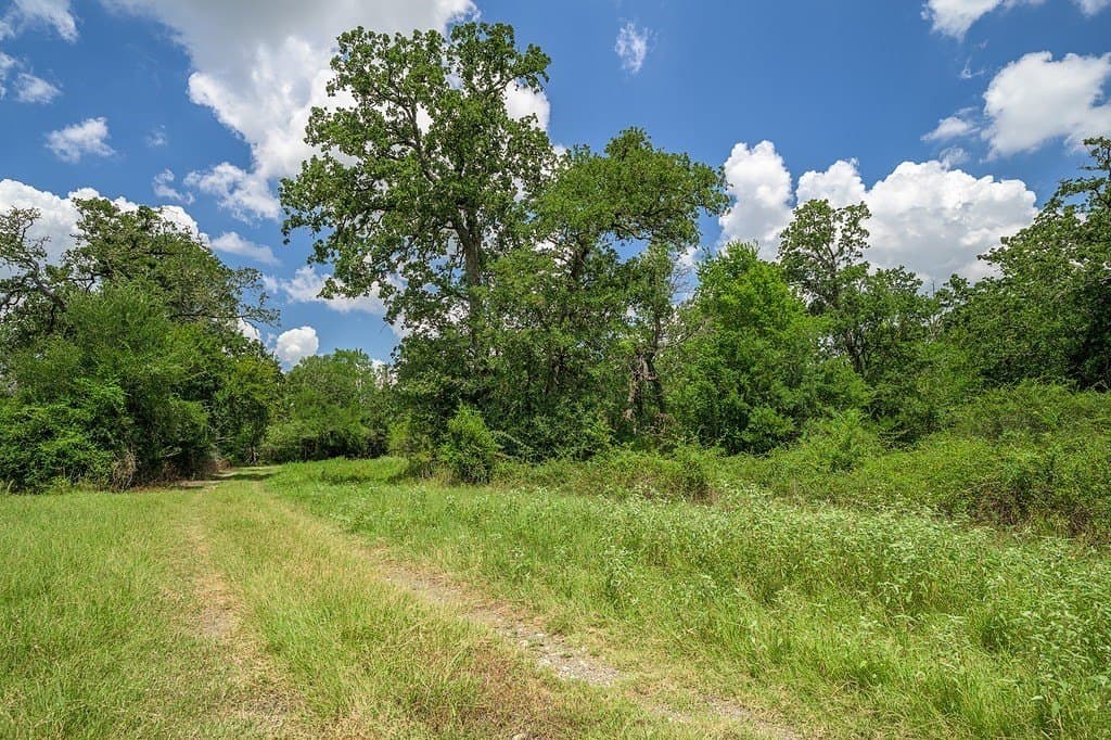 100.22 acres in Fayette County - photo 13