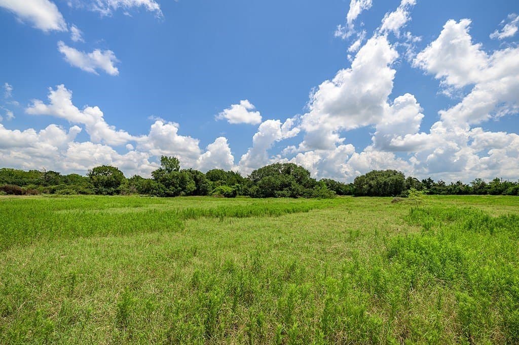 100.22 acres in Fayette County - photo 15