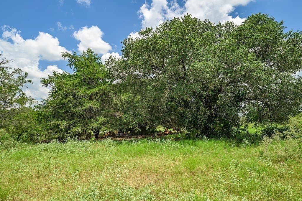 100.22 acres in Fayette County - photo 18
