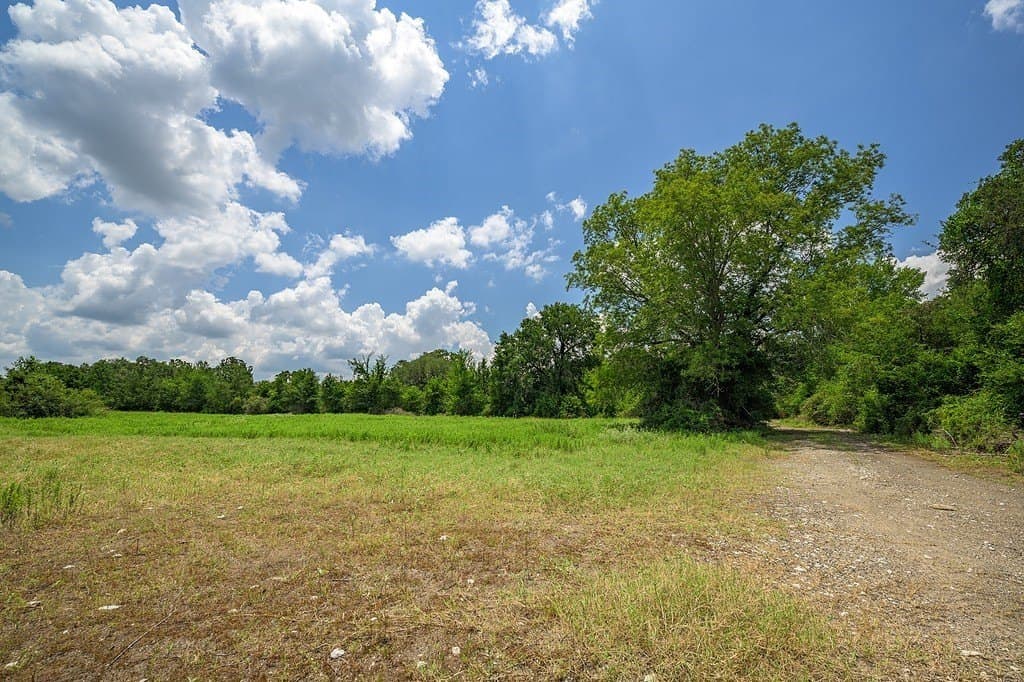 100.22 acres in Fayette County - photo 14