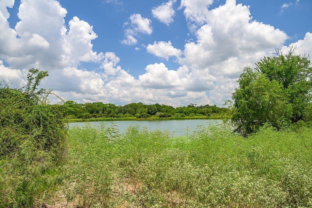 100.22 acres in Fayette County - photo 17