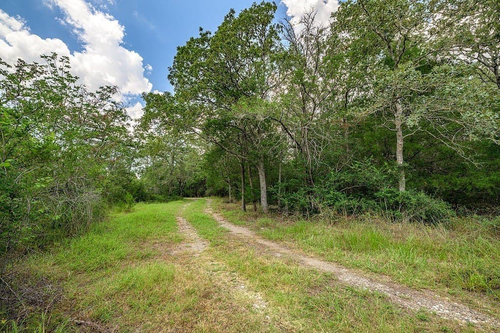 100.22 acres in Fayette County - photo 5