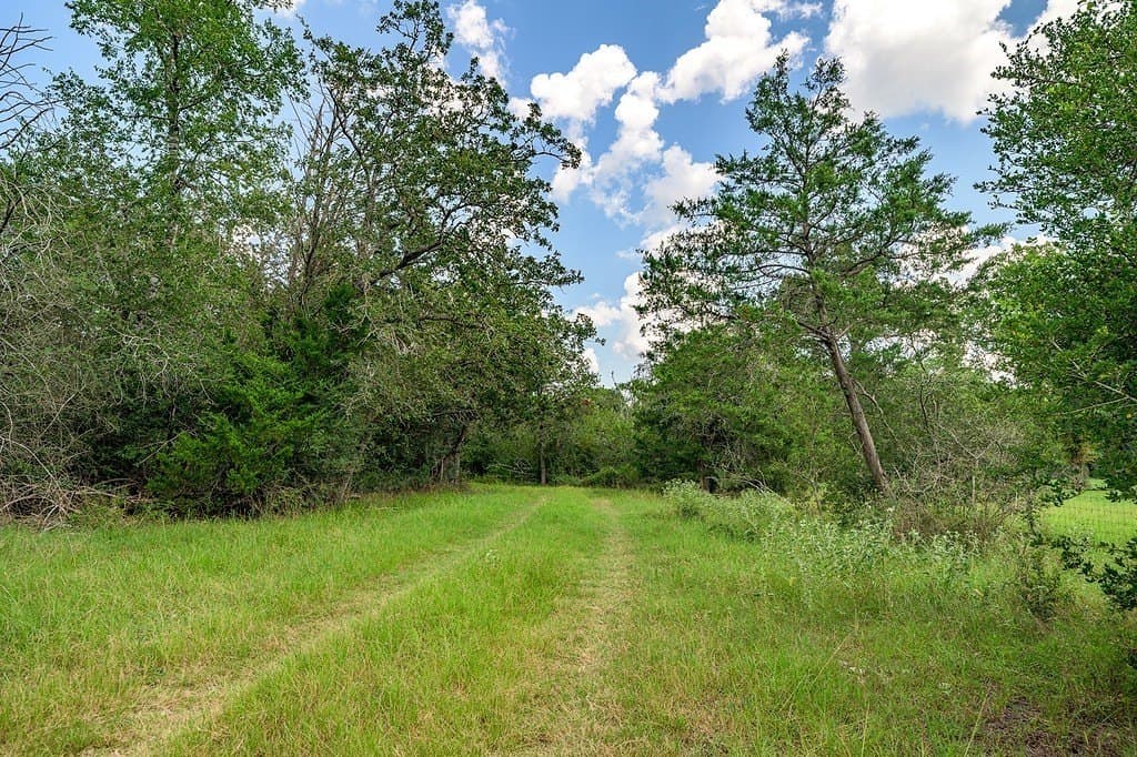 100.22 acres in Fayette County - photo 19