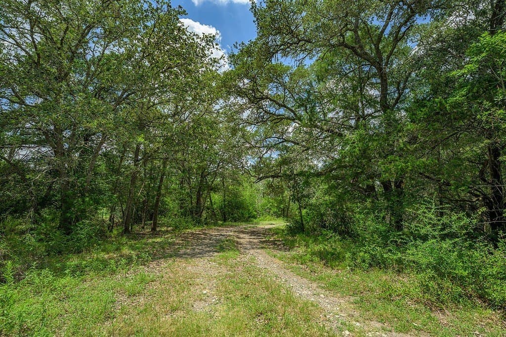 100.22 acres in Fayette County - photo 12