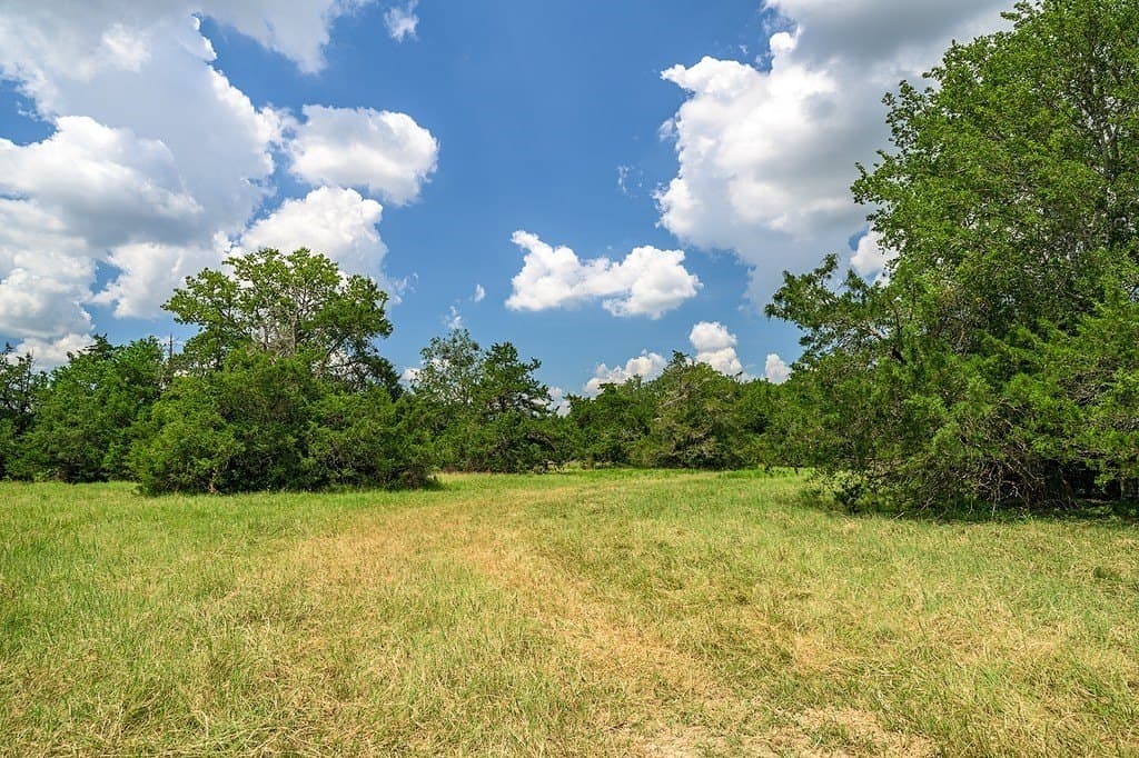 100.22 acres in Fayette County - photo 3