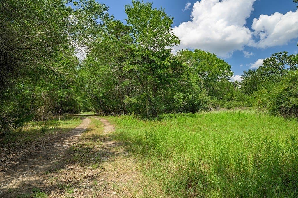 100.22 acres in Fayette County - photo 4