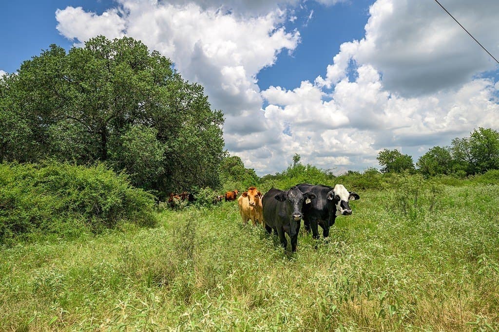100.22 acres in Fayette County - photo 20
