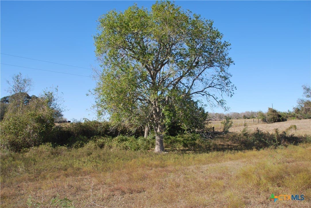 25.58 acres in Lavaca County - photo 20