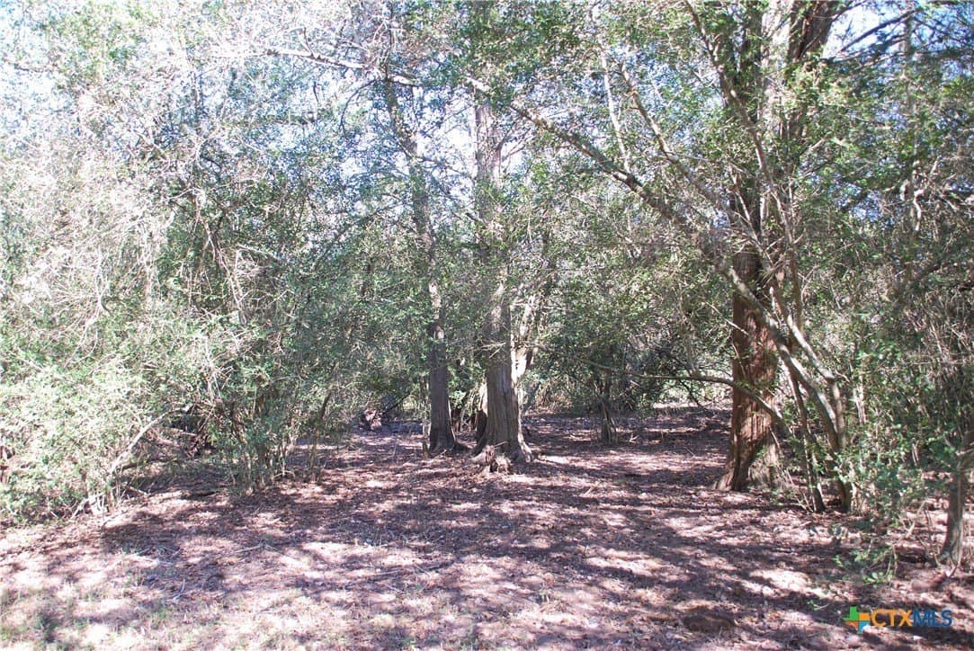 25.58 acres in Lavaca County - photo 23