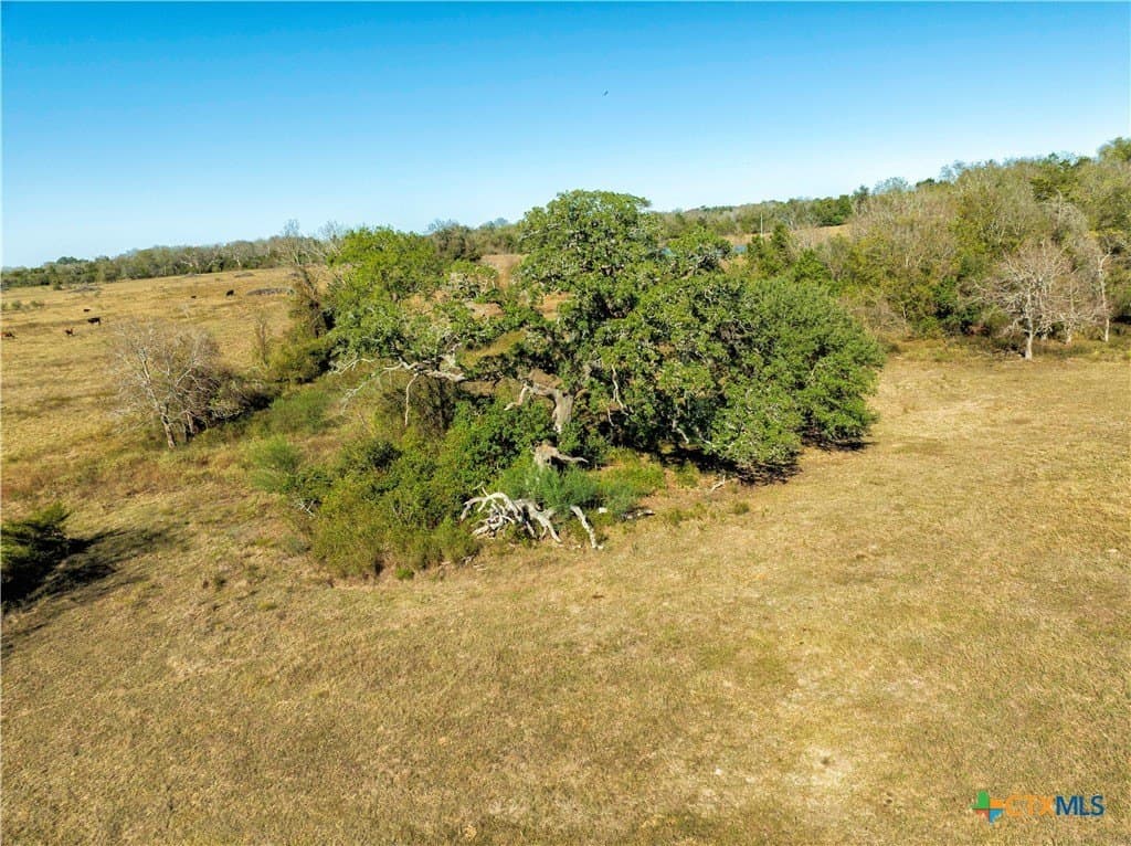 25.58 acres in Lavaca County - photo 9
