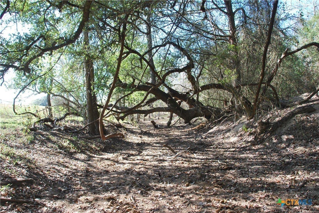 25.58 acres in Lavaca County - photo 21