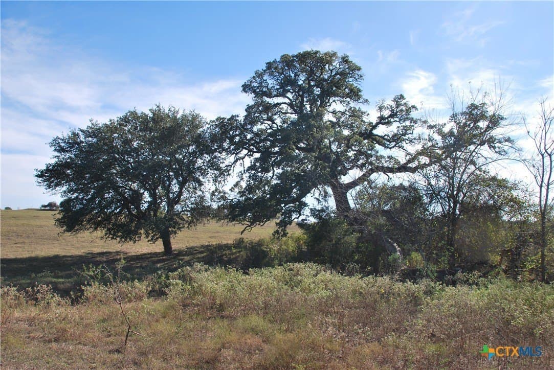 25.58 acres in Lavaca County - photo 18