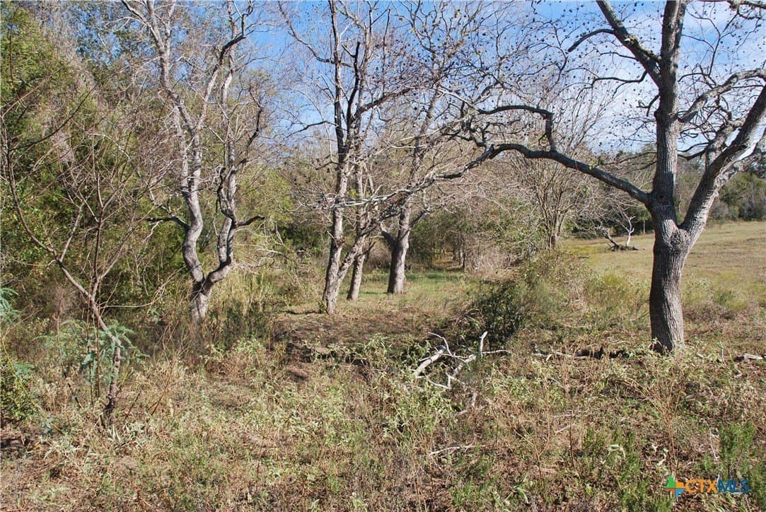 25.58 acres in Lavaca County - photo 11