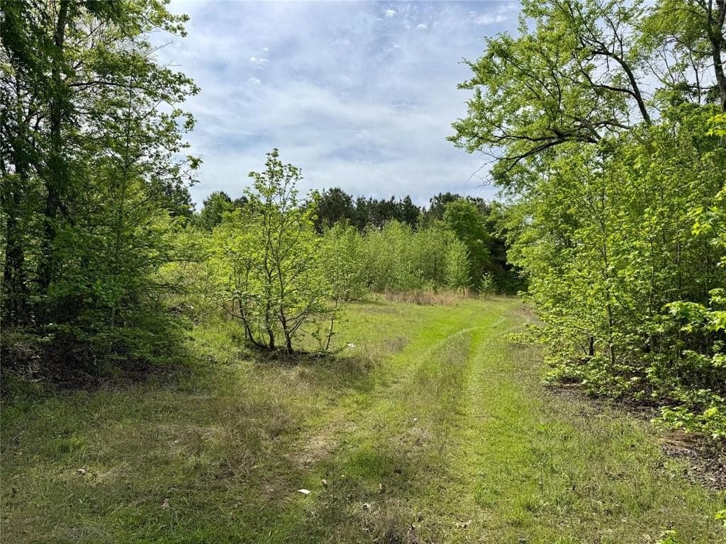 50.13 acres in Cass County gallery image 3