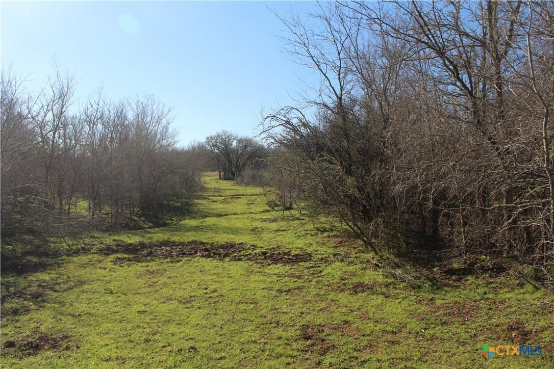 100 acres in Lee County - photo 3