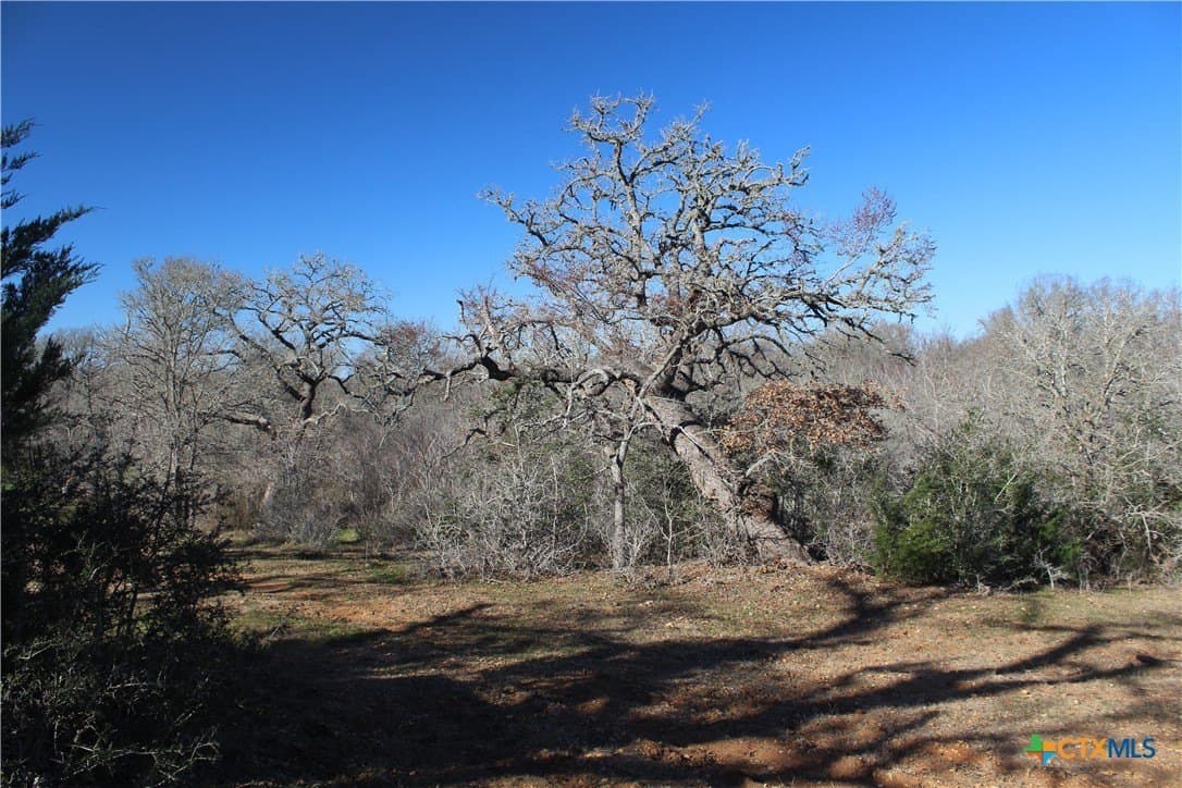 100 acres in Lee County - photo 6