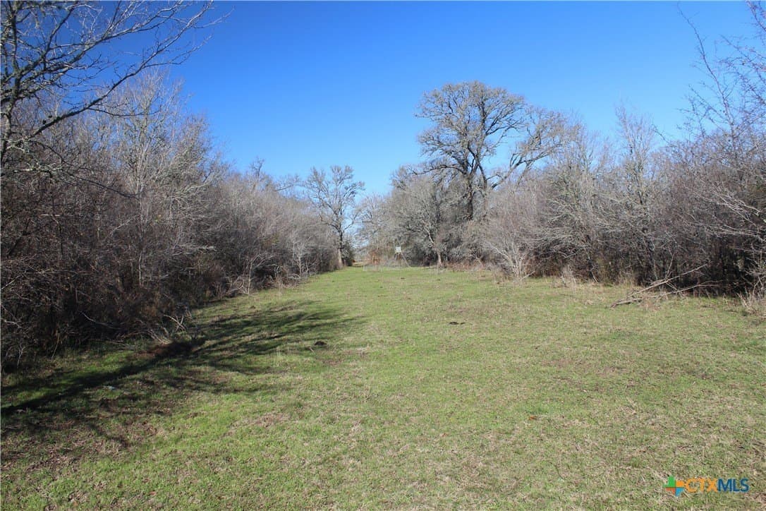 100 acres in Lee County - photo 7