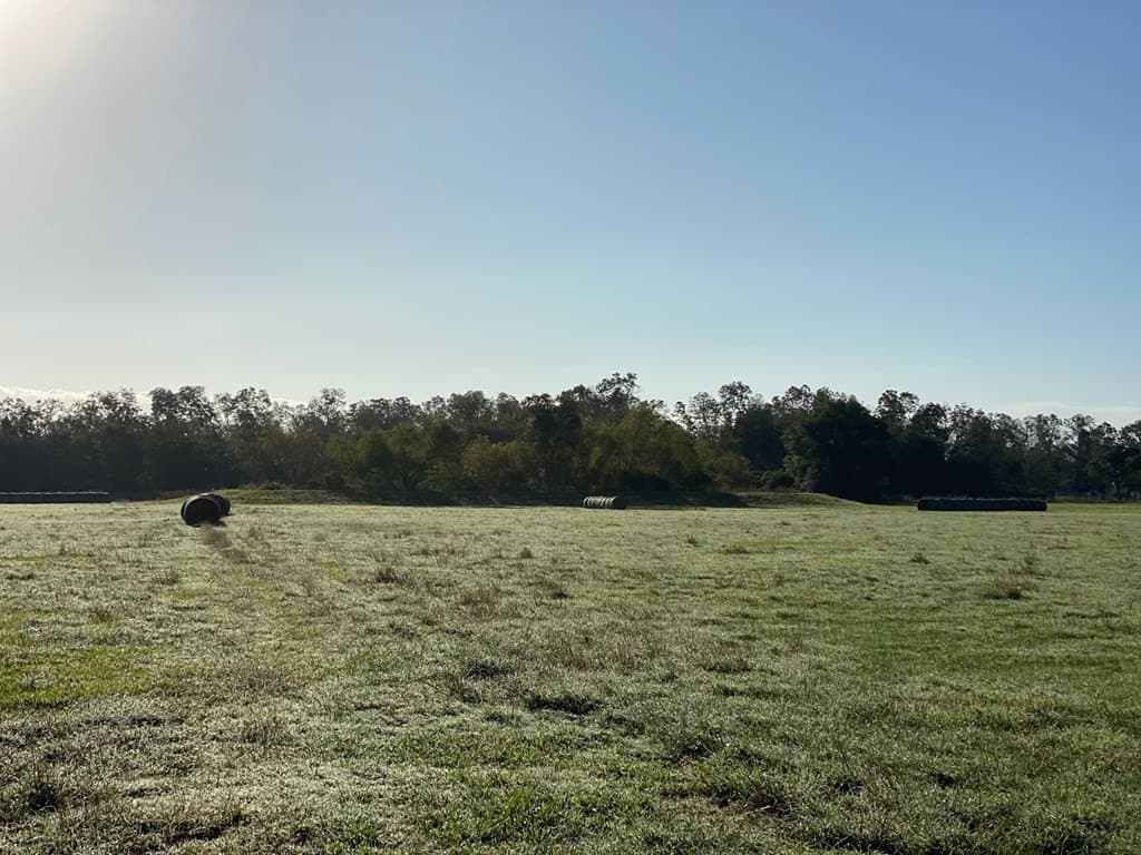 18 acres in Cedar Lane County gallery image 4