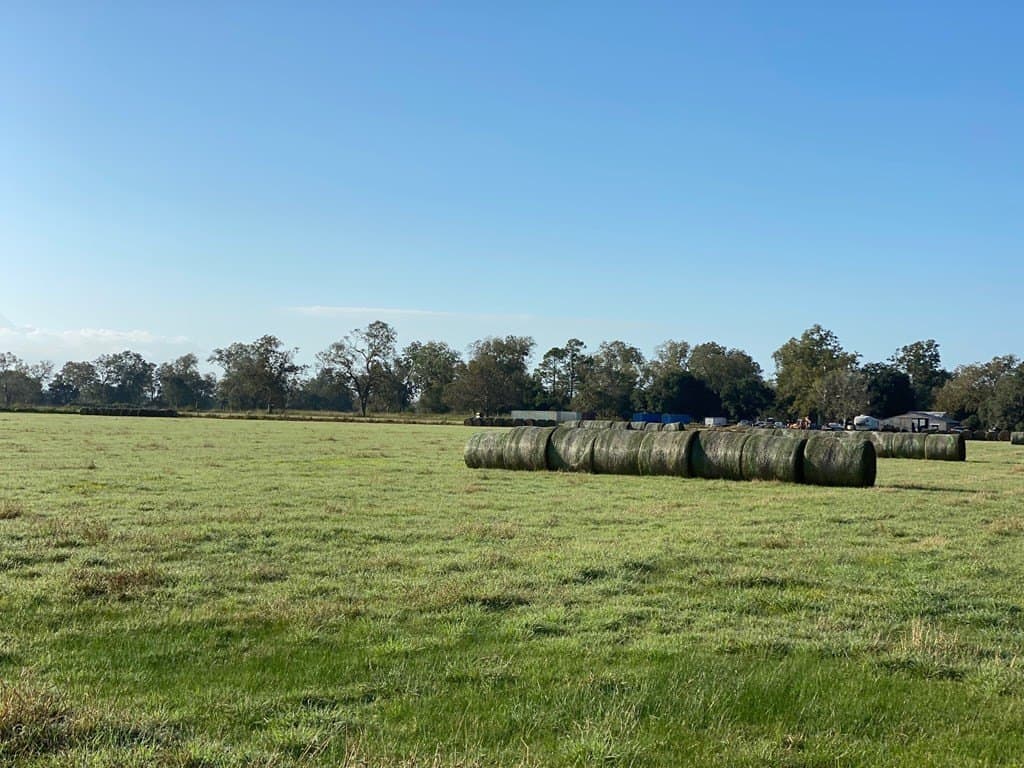 18 acres in Cedar Lane County featured view