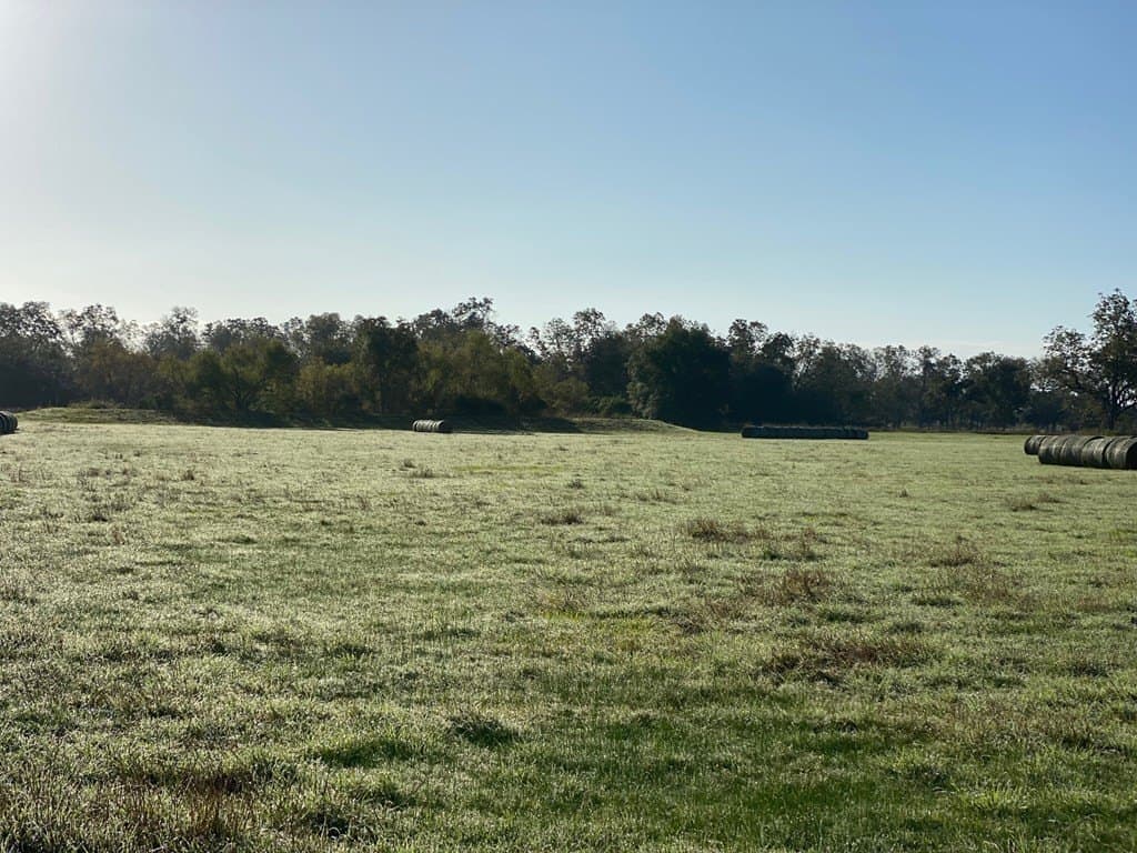 18 acres in Cedar Lane County gallery image 3