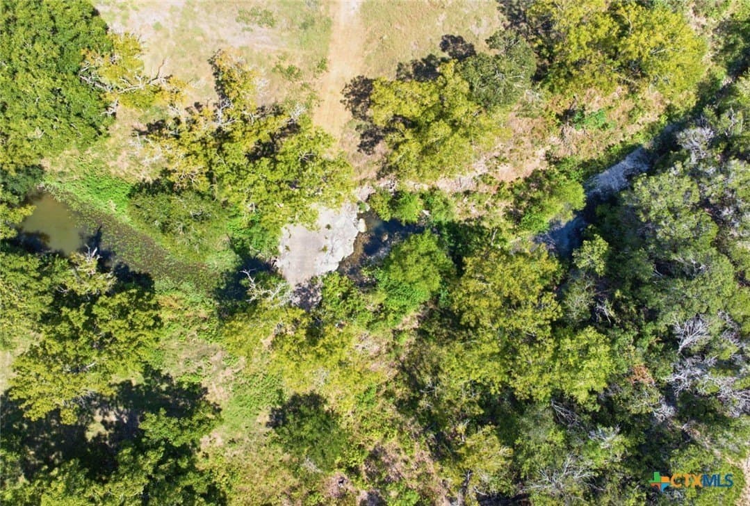 45 acres in Hays County - photo 15