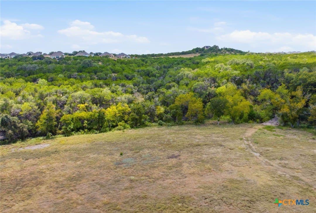 45 acres in Hays County - photo 19