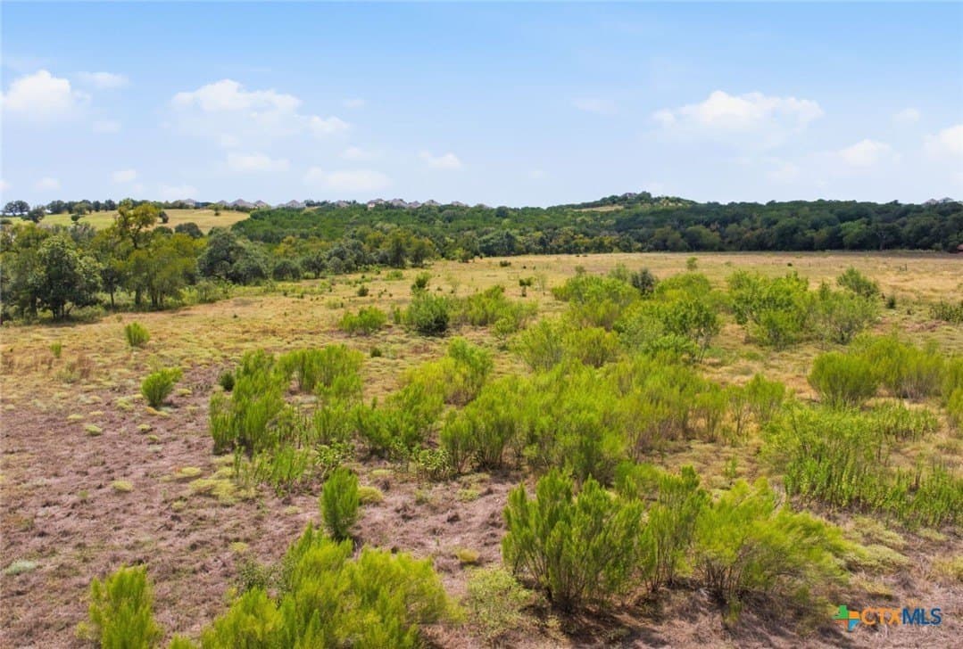 45 acres in Hays County - photo 17