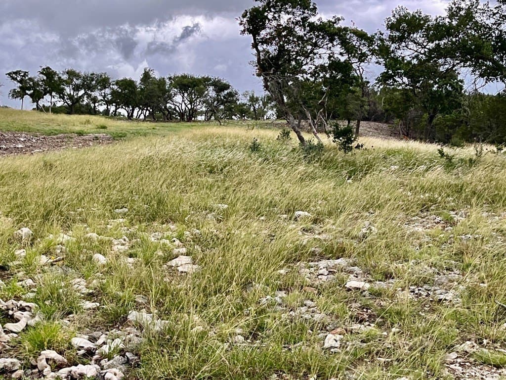 10.02 acres in Gillespie County gallery image 4