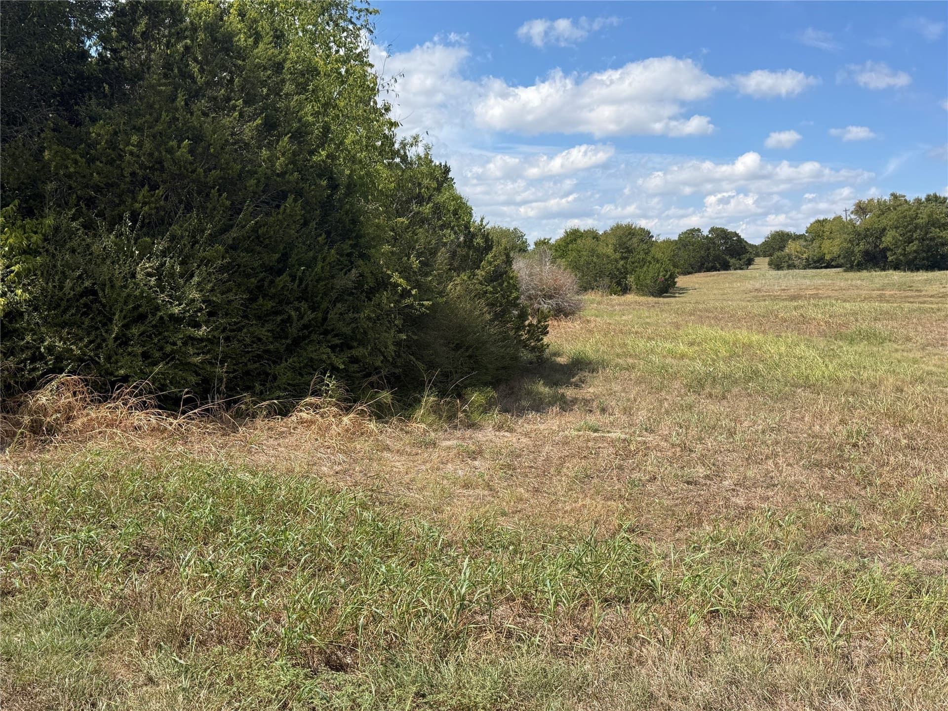 0.67 acres in Johnson County - photo 3