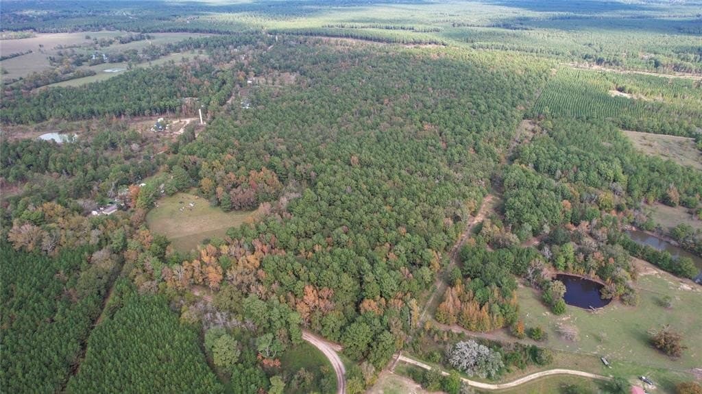 17.94 acres in San Jacinto County featured view