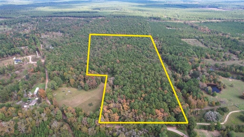 17.94 acres in San Jacinto County gallery image 3