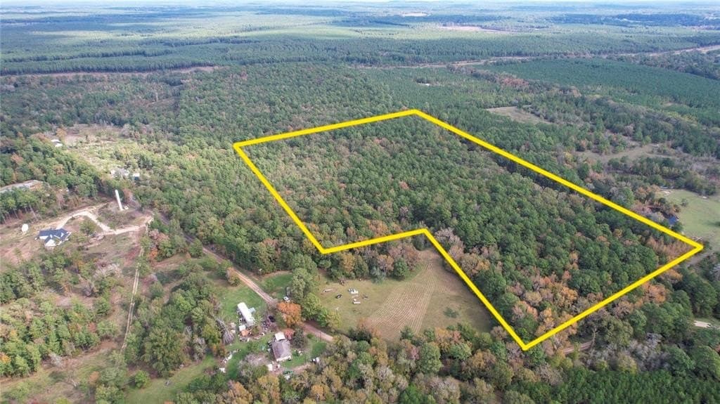 17.94 acres in San Jacinto County gallery image 2