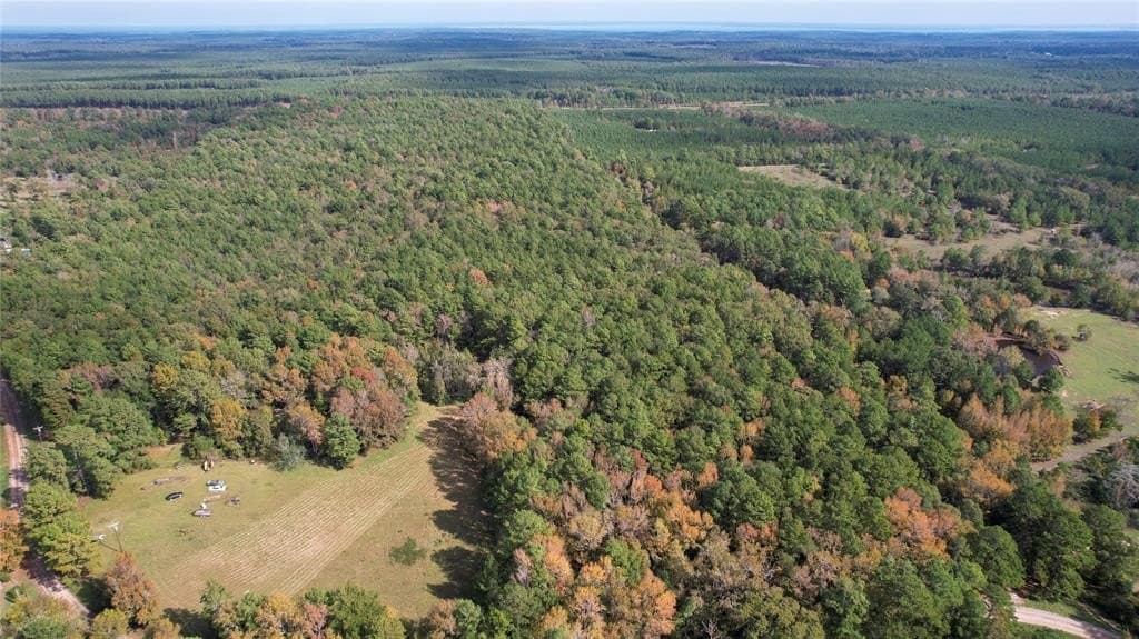 17.94 acres in San Jacinto County gallery image 4