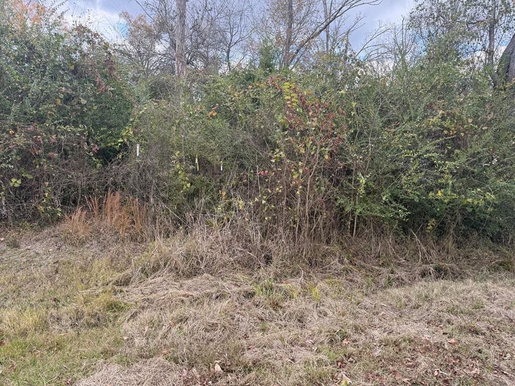 29.01 acres in Texas County gallery image 4