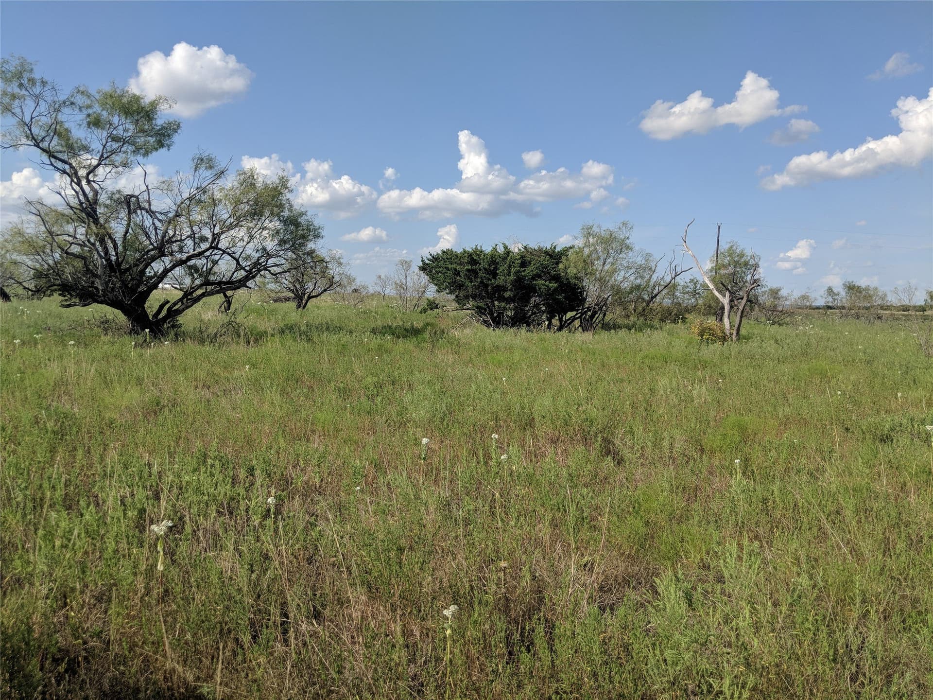 10 acres in Hamilton County - photo 14