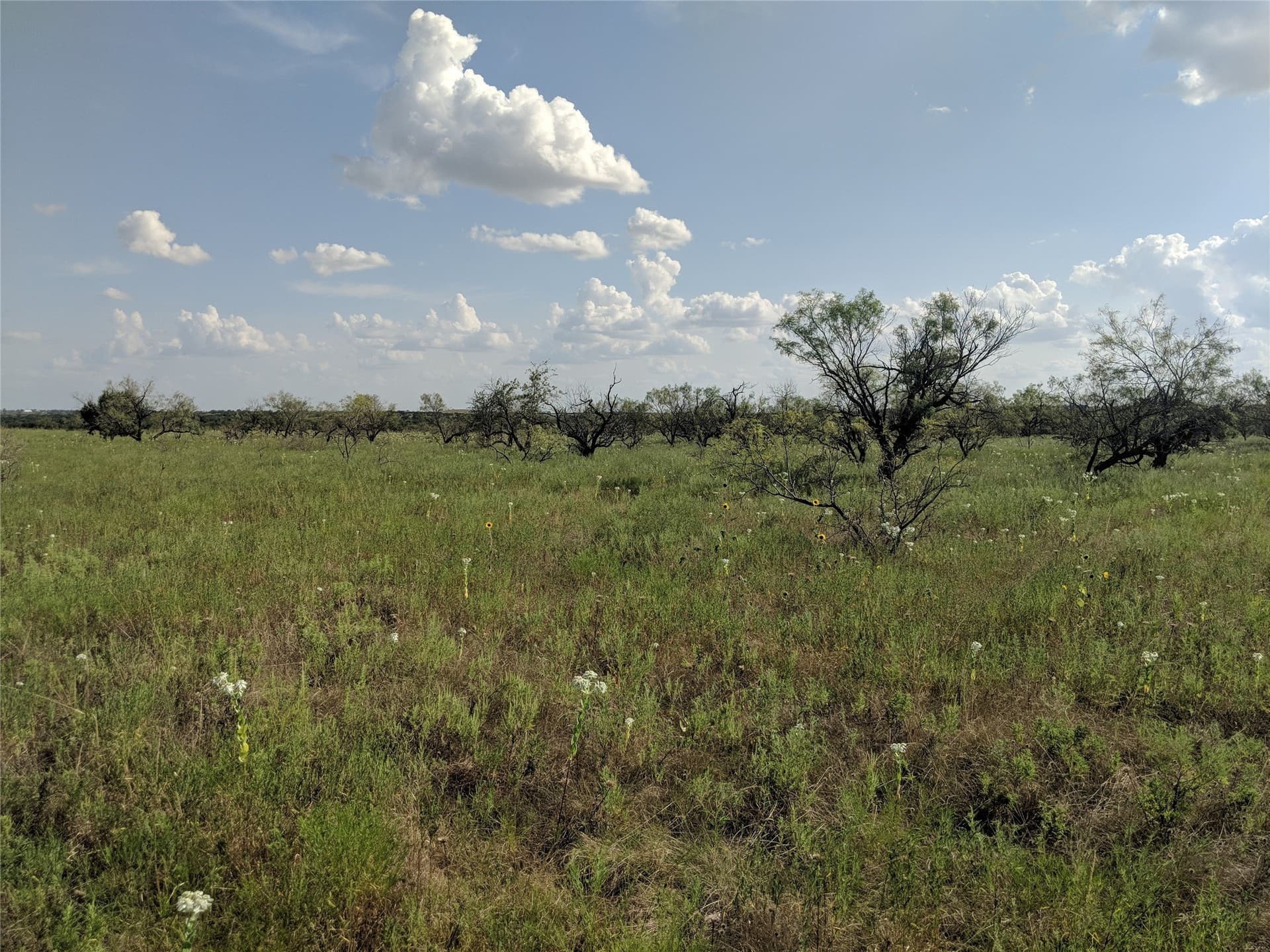 10 acres in Hamilton County - photo 11