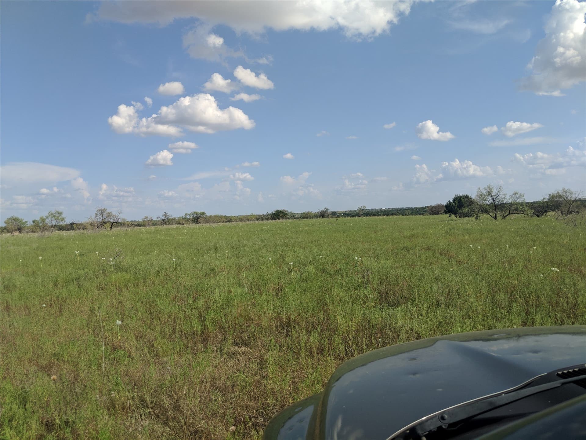 10 acres in Hamilton County - photo 13