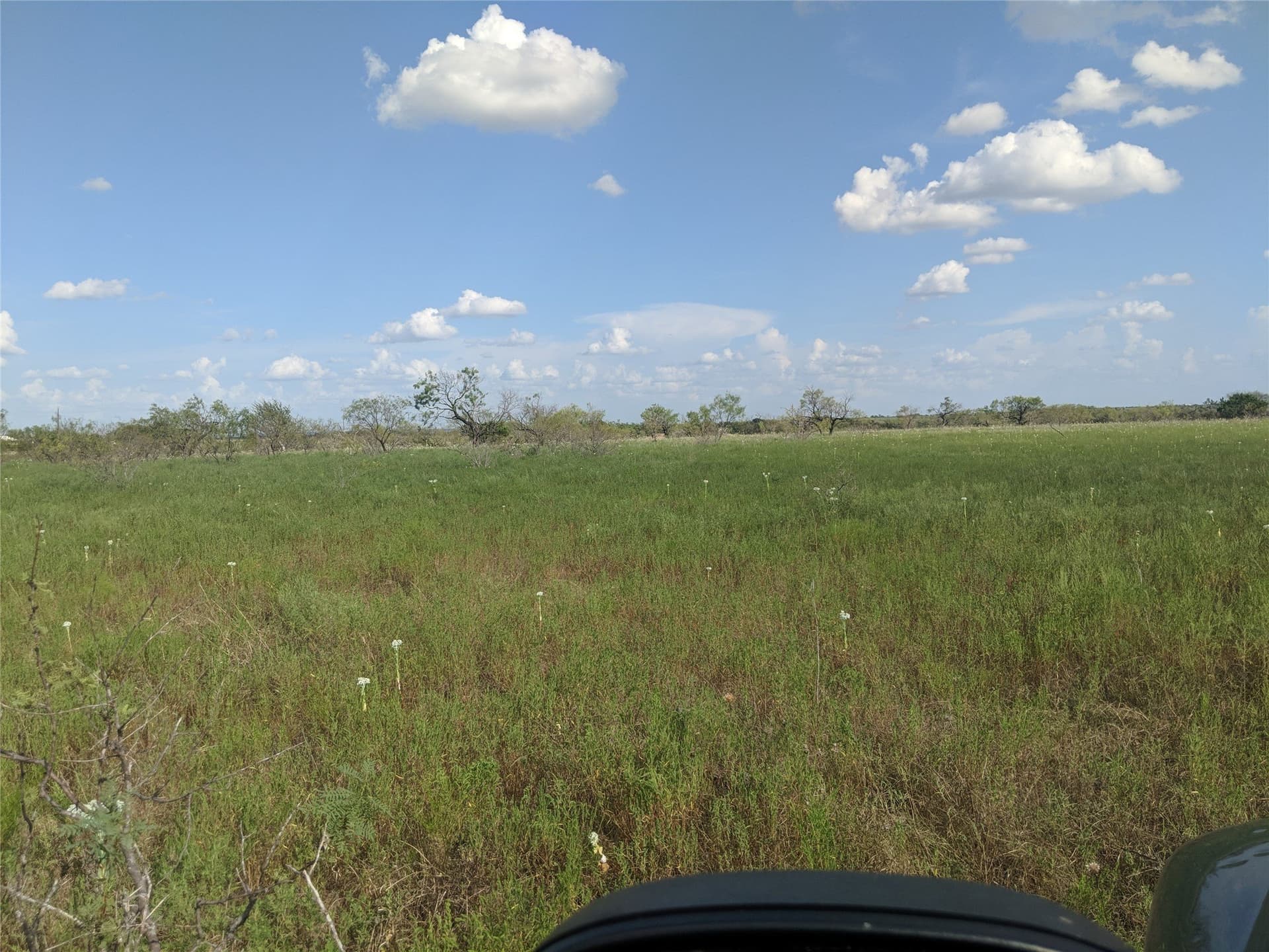 10 acres in Hamilton County - photo 15