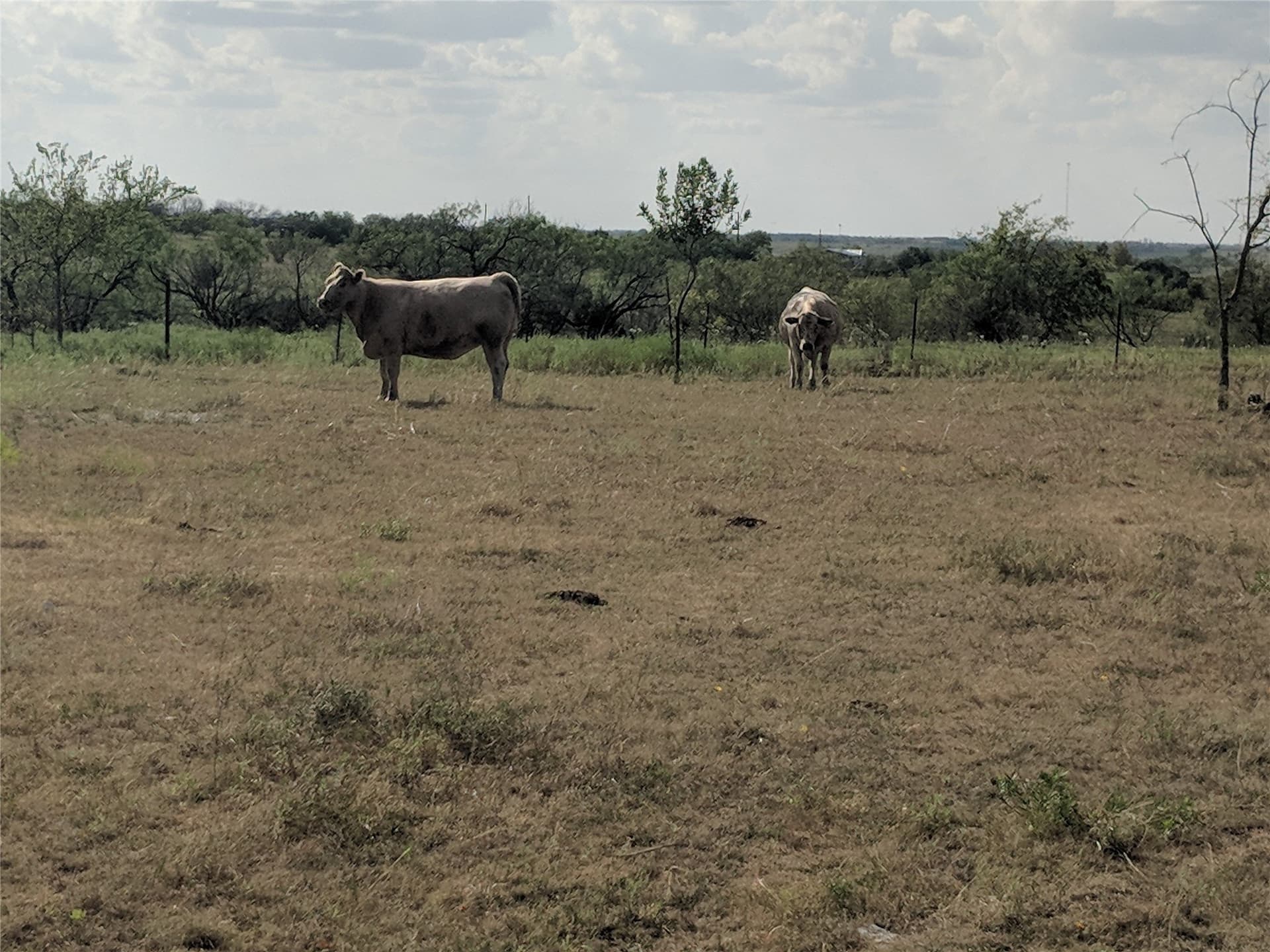 10 acres in Hamilton County - photo 9