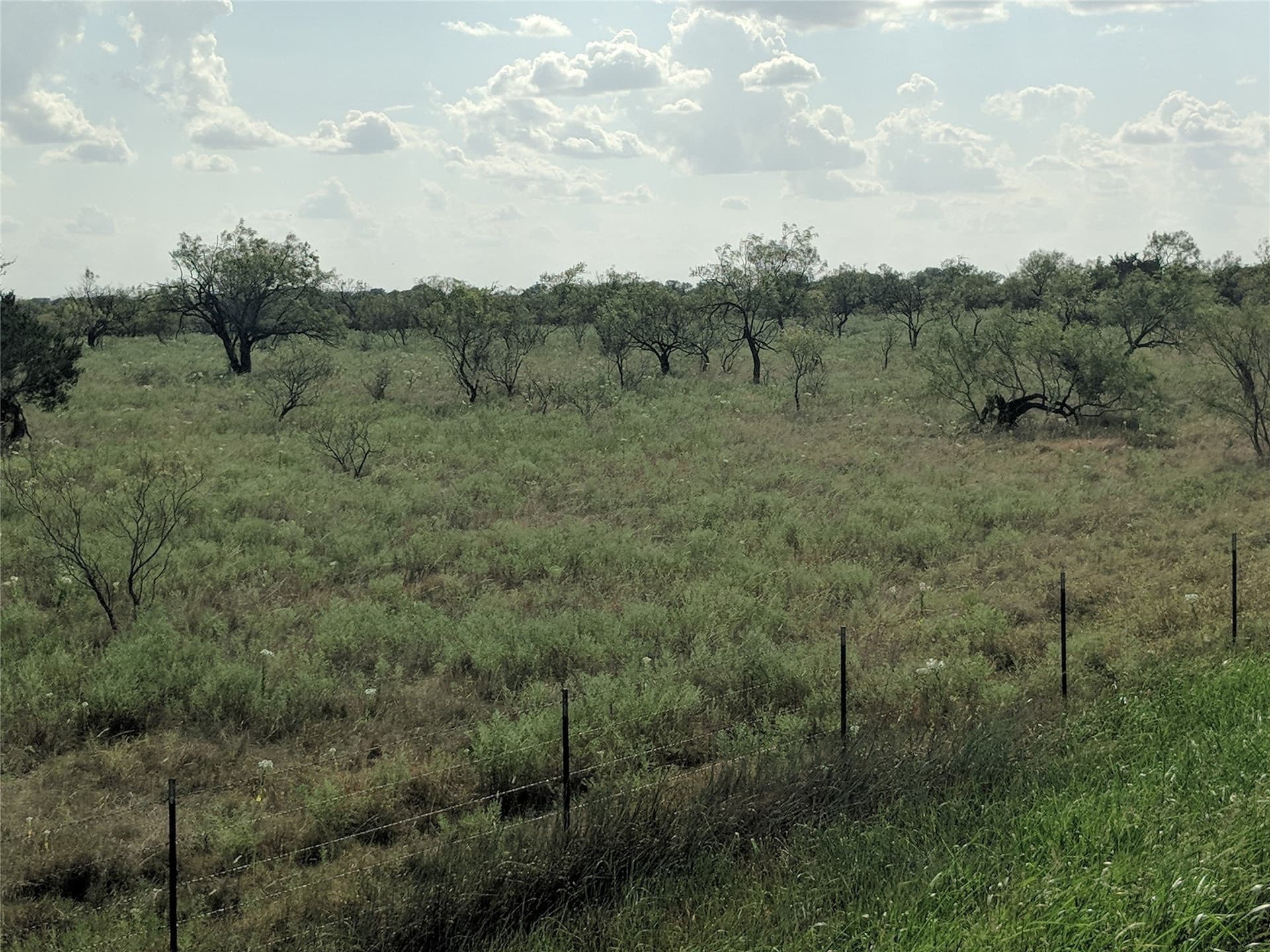10 acres in Hamilton County - photo 4