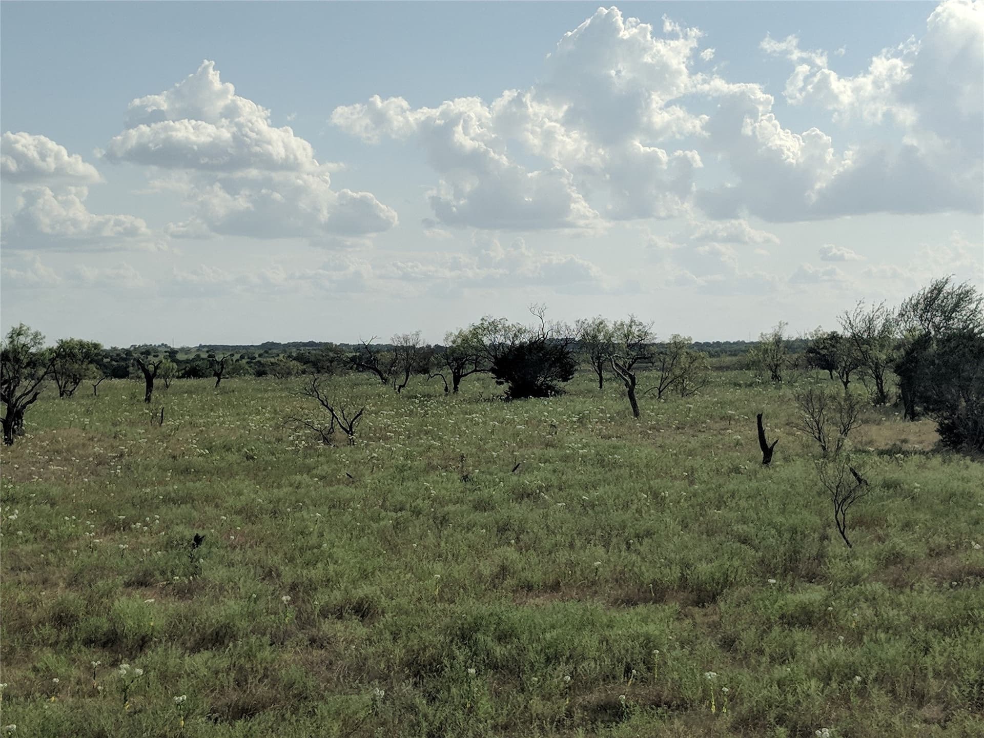 10 acres in Hamilton County - photo 2