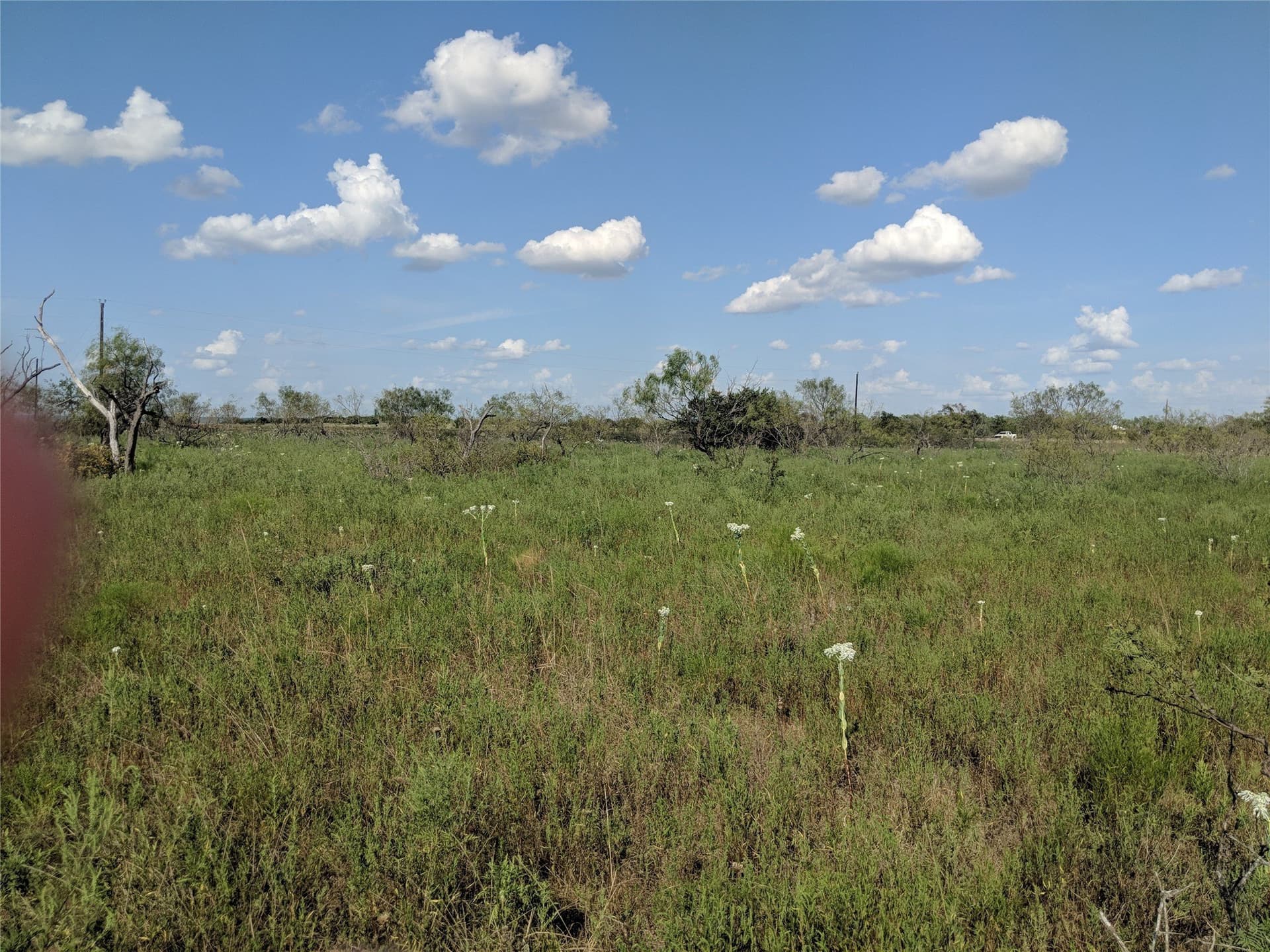 10 acres in Hamilton County - photo 16