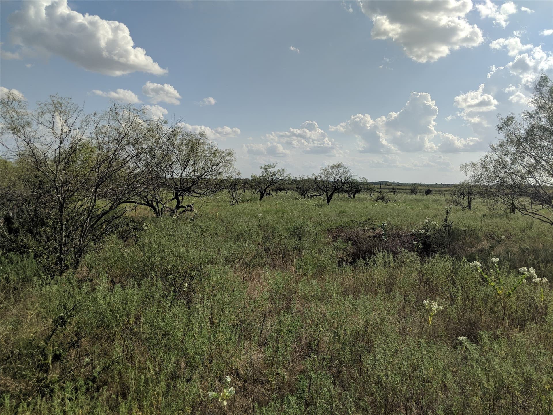 10 acres in Hamilton County - photo 6