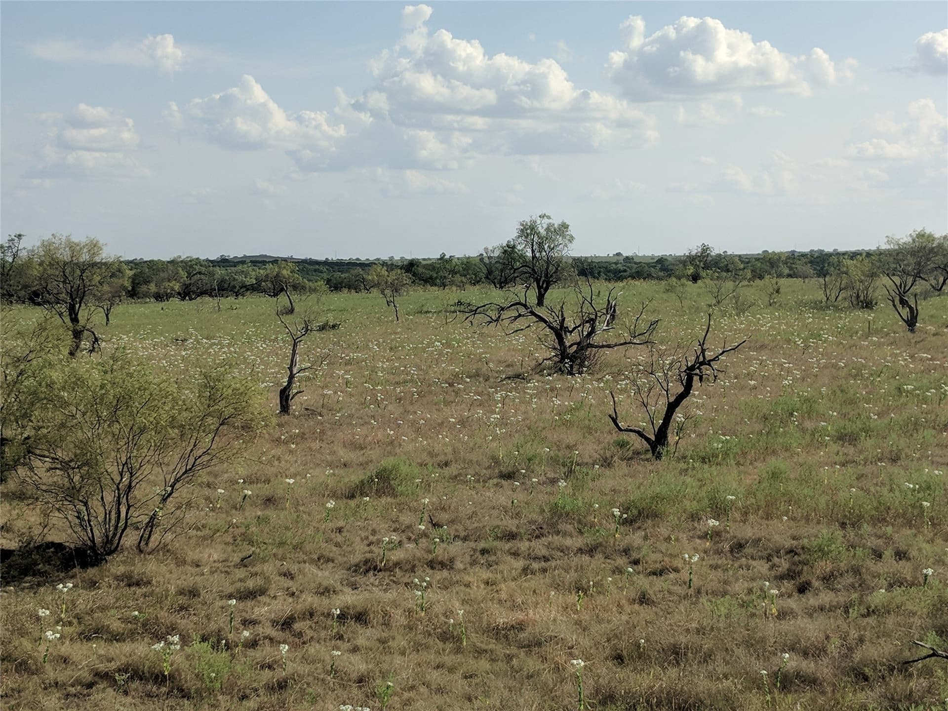 10 acres in Hamilton County - photo 8
