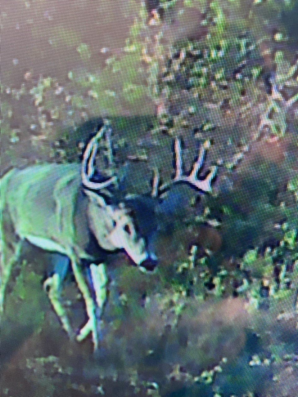 10 acres in Hamilton County